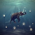The dreamer Photograph by Martine Roch The dreamer Photograph by Martine Roch