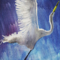 The Egret by Seth Weaver The Egret by Seth Weaver