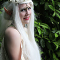 The Elven Queen by Jon Volden