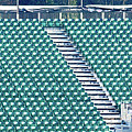 The empty grandstand Photograph by Colin Rayner