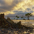 The End of the World Photograph by Robert Charity The End of the World Photograph by Robert Charity