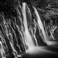 The Fall by Marnie Patchett The Fall by Marnie Patchett