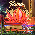 The Flamingo Neon Sign at Dawn Photograph by Aloha Art