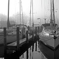 The Fog Is Lifting Photograph by Brian Wallace The Fog Is Lifting Photograph by Brian Wallace