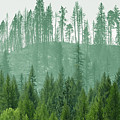 The Green and the not so Green Photograph by Troy Stapek The Green and the not so Green Photograph by Troy Stapek