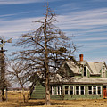 The Green House Photograph by Lana Trussell The Green House Photograph by Lana Trussell
