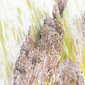 The Heart Photograph by Merle Grenz The Heart Photograph by Merle Grenz