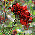 The Last Rose of Summer Painting by Mandy Budan The Last Rose of Summer Painting by Mandy Budan