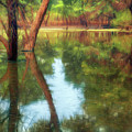 The Letter K - Tree Trunks and Reflection by Nikolyn McDonald