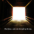 The Light Photograph by Merle Grenz The Light Photograph by Merle Grenz