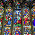 The Light Of Faith by Adrian Evans The Light Of Faith by Adrian Evans