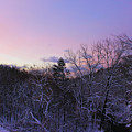 The Morning Glow Photograph by Sudakshina Bhattacharya The Morning Glow Photograph by Sudakshina Bhattacharya