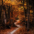 The Narrow Path Photograph by Scott Norris The Narrow Path Photograph by Scott Norris