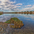 The Neponset River by Brian MacLean
