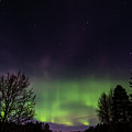 The Northern Lights Aurora Borealis  by Torbjorn Swenelius