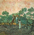 The Olive Pickers by Vincent van Gogh The Olive Pickers by Vincent van Gogh