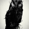 The Owl Mixed Media by Nicklas Gustafsson The Owl Mixed Media by Nicklas Gustafsson
