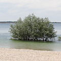 The paradise by Karin Ravasio