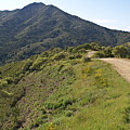 The Path to Tamalpais Photograph by Ben Upham III The Path to Tamalpais Photograph by Ben Upham III