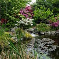 The peaceful place 13 by Valerie Josi The peaceful place 13 by Valerie Josi