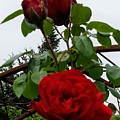 The peaceful place 7 by Valerie Josi The peaceful place 7 by Valerie Josi