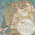The Peacocks Complaint by English School The Peacocks Complaint by English School