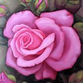 Pink dreamy rose by Inese Poga