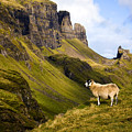 The Quiraing Isle of Skye by John McKinlay