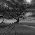The Raven's Night by James Christopher Hill The Raven's Night by James Christopher Hill