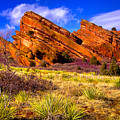 The Red Rock Park VI Photograph by David Patterson The Red Rock Park VI Photograph by David Patterson