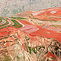 The Redlands, Yunnan, China Photograph by Marla Craven