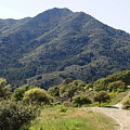 The Road to Tamalpais Photograph by Ben Upham III The Road to Tamalpais Photograph by Ben Upham III