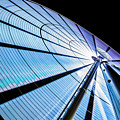 The Seattle Great Wheel Photograph by Pelo Blanco Photo The Seattle Great Wheel Photograph by Pelo Blanco Photo