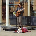 The Singer and His Dog Photograph by Vic Ritchey The Singer and His Dog Photograph by Vic Ritchey