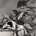 The Sleep of Reason Produces Monsters Drawing by Goya The Sleep of Reason Produces Monsters Drawing by Goya