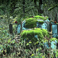 The Slow Recycling by Lynn Wohlers