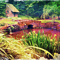 The Springhouse Photograph by Kevyn Bashore The Springhouse Photograph by Kevyn Bashore