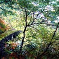 The Stone Wall by Jim Gola The Stone Wall by Jim Gola