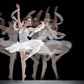 The Swan Ballet dancer Photograph by Dimitar Hristov The Swan Ballet dancer Photograph by Dimitar Hristov