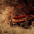 The Wagon Photograph by Troy Stapek The Wagon Photograph by Troy Stapek