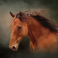 The Wind Of Heaven - Horse Art by Michelle Wrighton