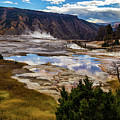 Thermal Pool at Mammoth Host Springs Photograph by Roslyn Wilkins Thermal Pool at Mammoth Host Springs Photograph by Roslyn Wilkins