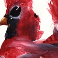 Three Cardinals Painting by Dawn Derman Three Cardinals Painting by Dawn Derman