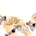 Three Hedgehogs Painting by Dawn Derman Three Hedgehogs Painting by Dawn Derman