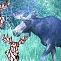 Three Moose by Mary Mikawoz