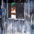 Thru the Barn Window by Seth Weaver Thru the Barn Window by Seth Weaver