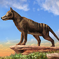 Thylacine Digital Art by Daniel Eskridge Thylacine Digital Art by Daniel Eskridge