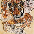Tiger Haven by Barbara Keith Tiger Haven by Barbara Keith