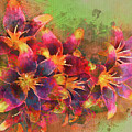 Tiger Lillies by Mal-Z