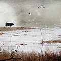 'til The Cows Come Home Photograph by Theresa Tahara